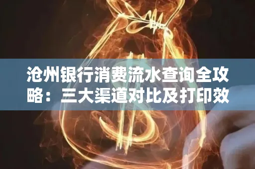 沧州银行消费流水查询全攻略：三大渠道对比及打印效率实测