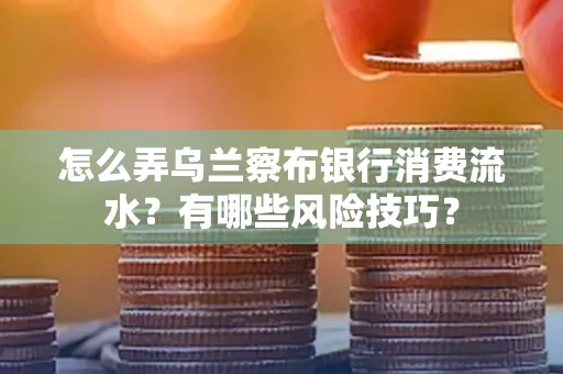 怎么弄乌兰察布银行消费流水？有哪些风险技巧？