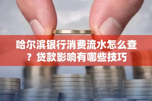 哈尔滨银行消费流水怎么查？贷款影响有哪些技巧