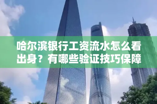 哈尔滨银行工资流水怎么看出身？有哪些验证技巧保障贷款过关？